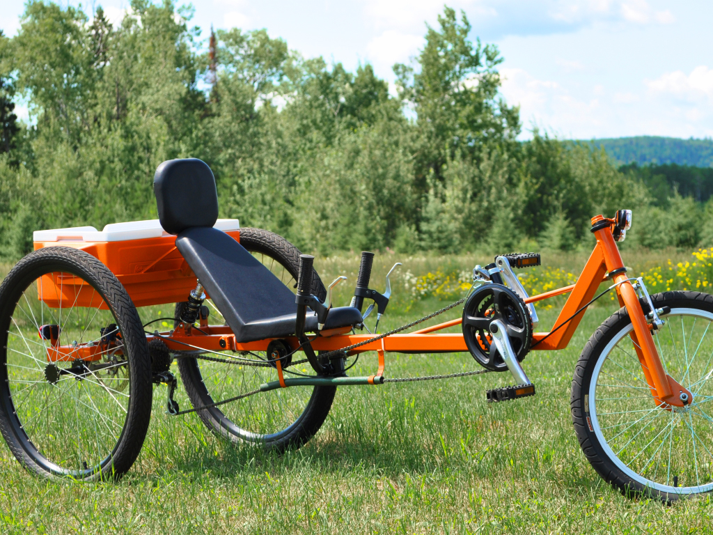 TimberWolf Recumbent Trike - diy delta trike plan